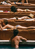 Sun Basking Puzzle
