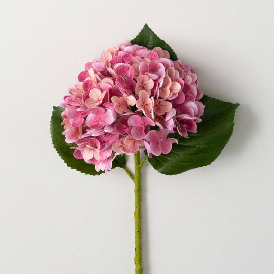 Sullivans Home Decor - FRESHCUT® VIVID FUSCHIA SPRING
