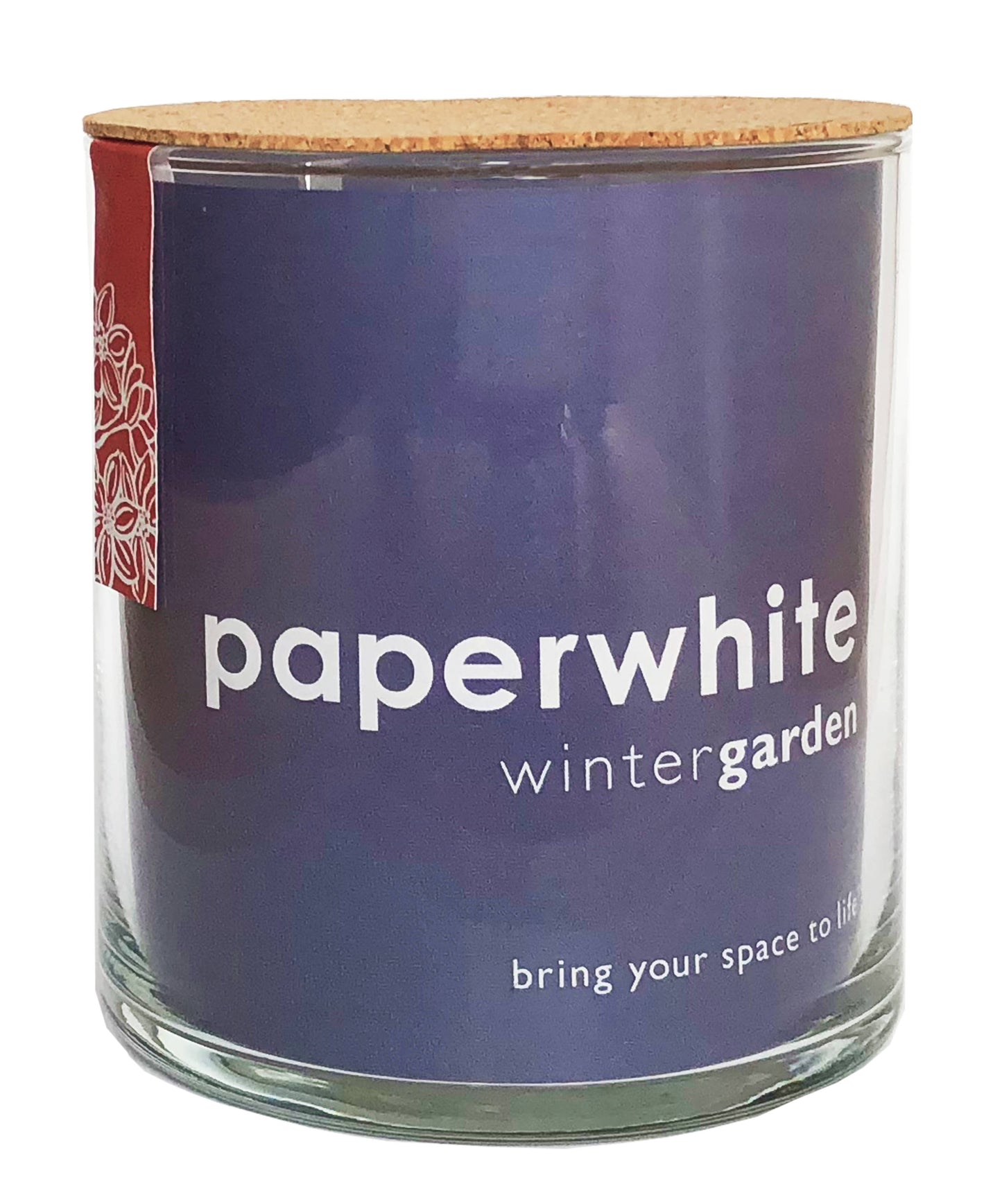 Potting Shed Creations, Ltd. - Garden in a Bag Paperwhites | Fall & Christmas | Best Seller