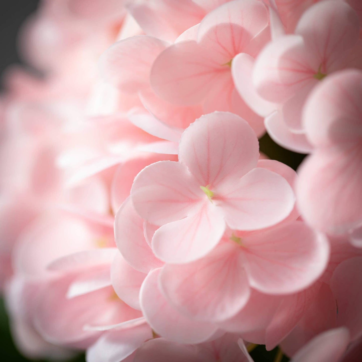 Sullivans Home Decor - FRESHCUT® VIVID PINK SPRING HY