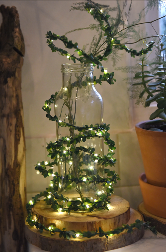 Lumina Of London Co - Green Leaf String Lights