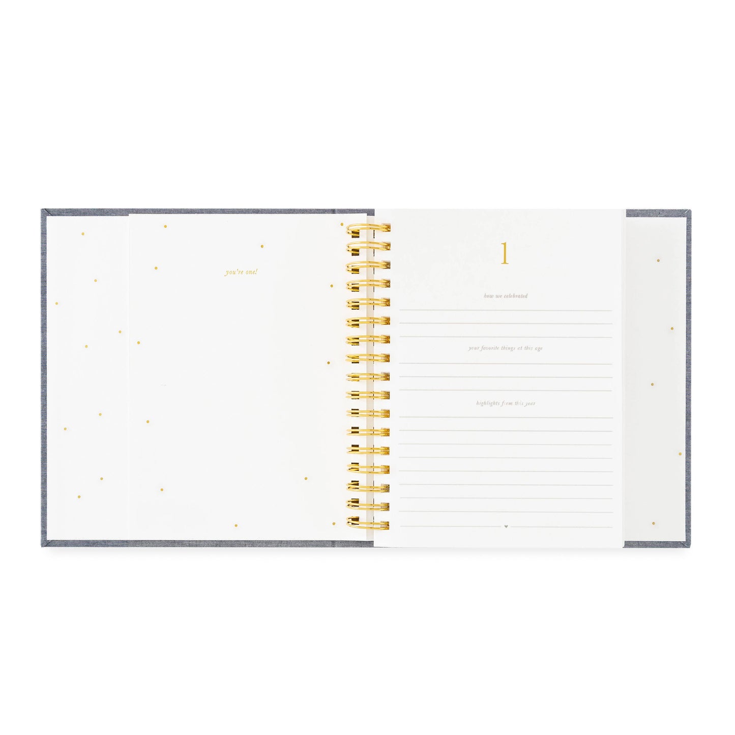 The Birthday Book