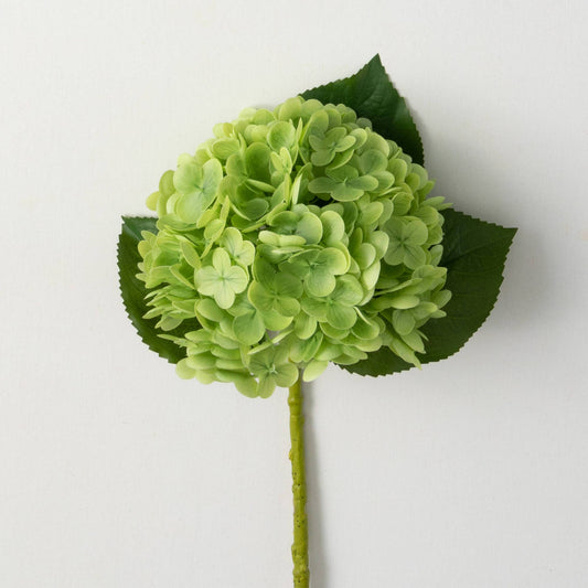 Sullivans Home Decor - FRESHCUT® VIVID GREEN SPRING H