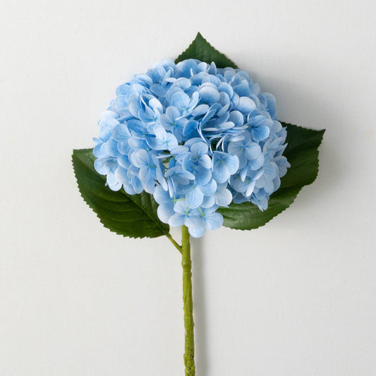 Sullivans Home Decor - FRESHCUT® VIVID BLUE SPRING HY