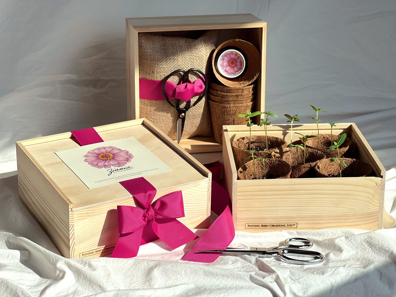 Potting Shed Creations, Ltd. - NEW Culinary Herb Garden Box | Thoughtful Summer Herb Kit