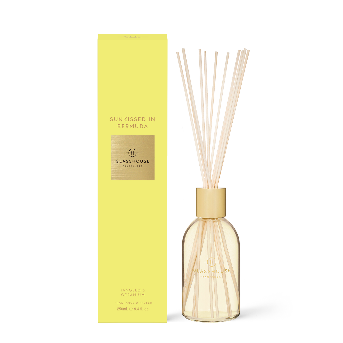 Glass House Diffuser