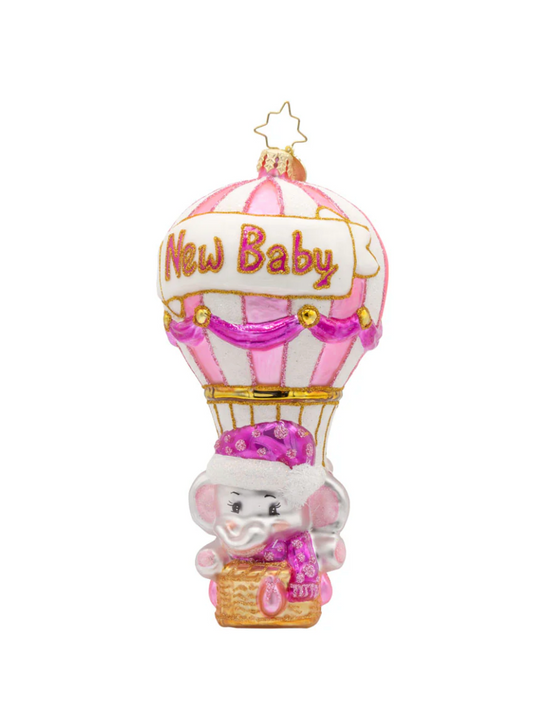 Baby Pink Balloon Adventure
