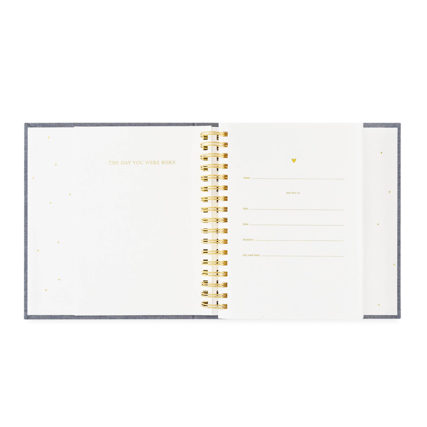 The Birthday Book