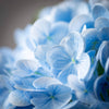 Sullivans Home Decor - FRESHCUT® VIVID BLUE SPRING HY