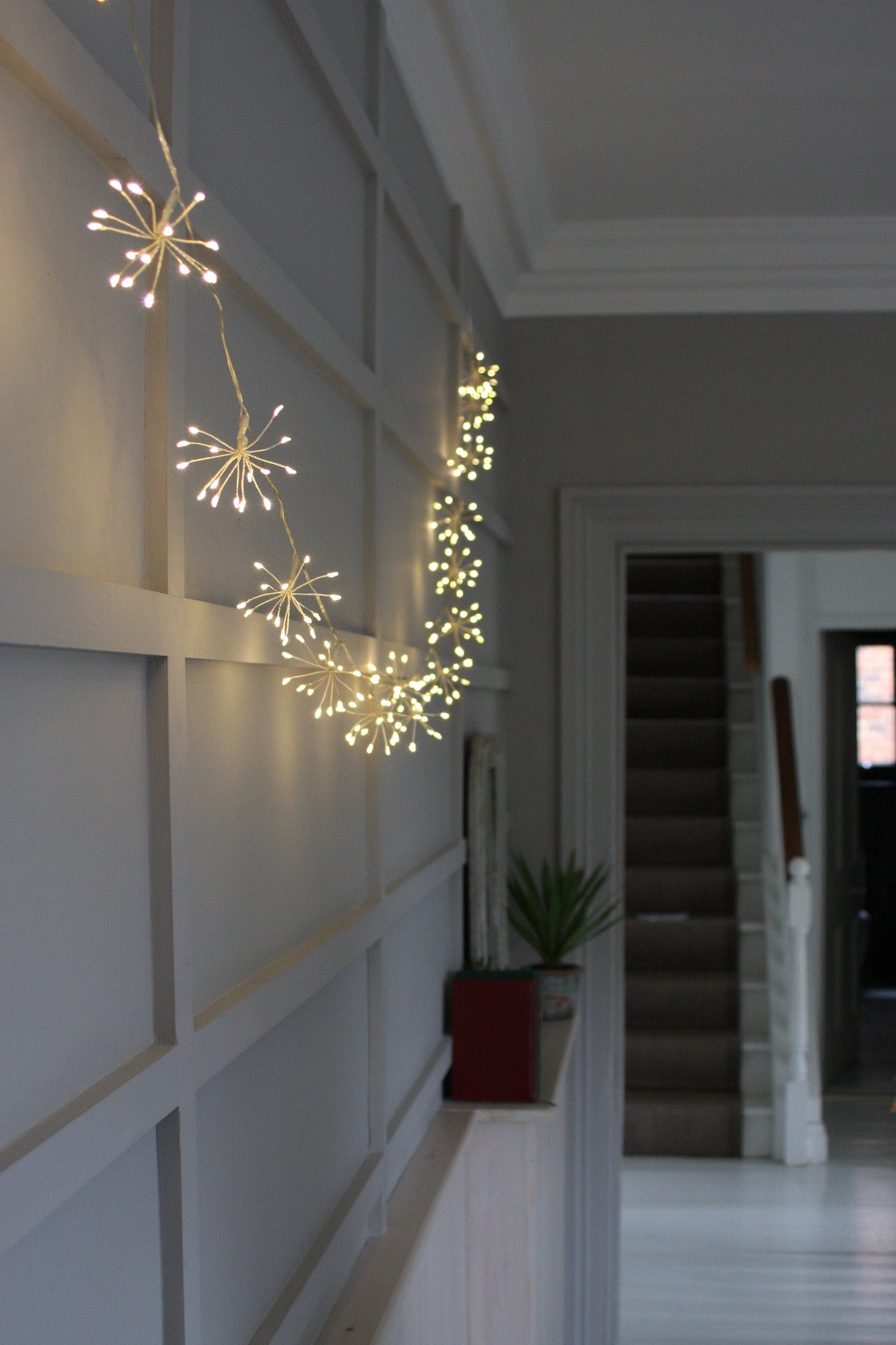 Lumina Of London Co - Starburst Chain Lights - Plug In: Copper