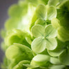 Sullivans Home Decor - FRESHCUT® VIVID GREEN SPRING H