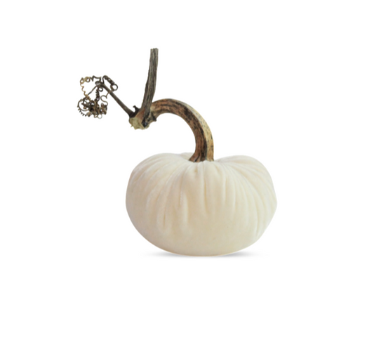 Velvet Pumpkin - Snow