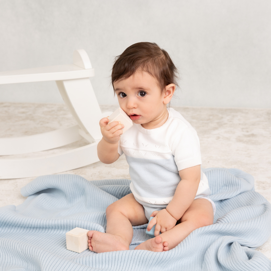 Feltman Brothers - Boys Pointelle Contrast Knit Romper: Powder Blue / 9M