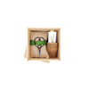 Potting Shed Creations, Ltd. - NEW Culinary Herb Garden Box | Thoughtful Summer Herb Kit