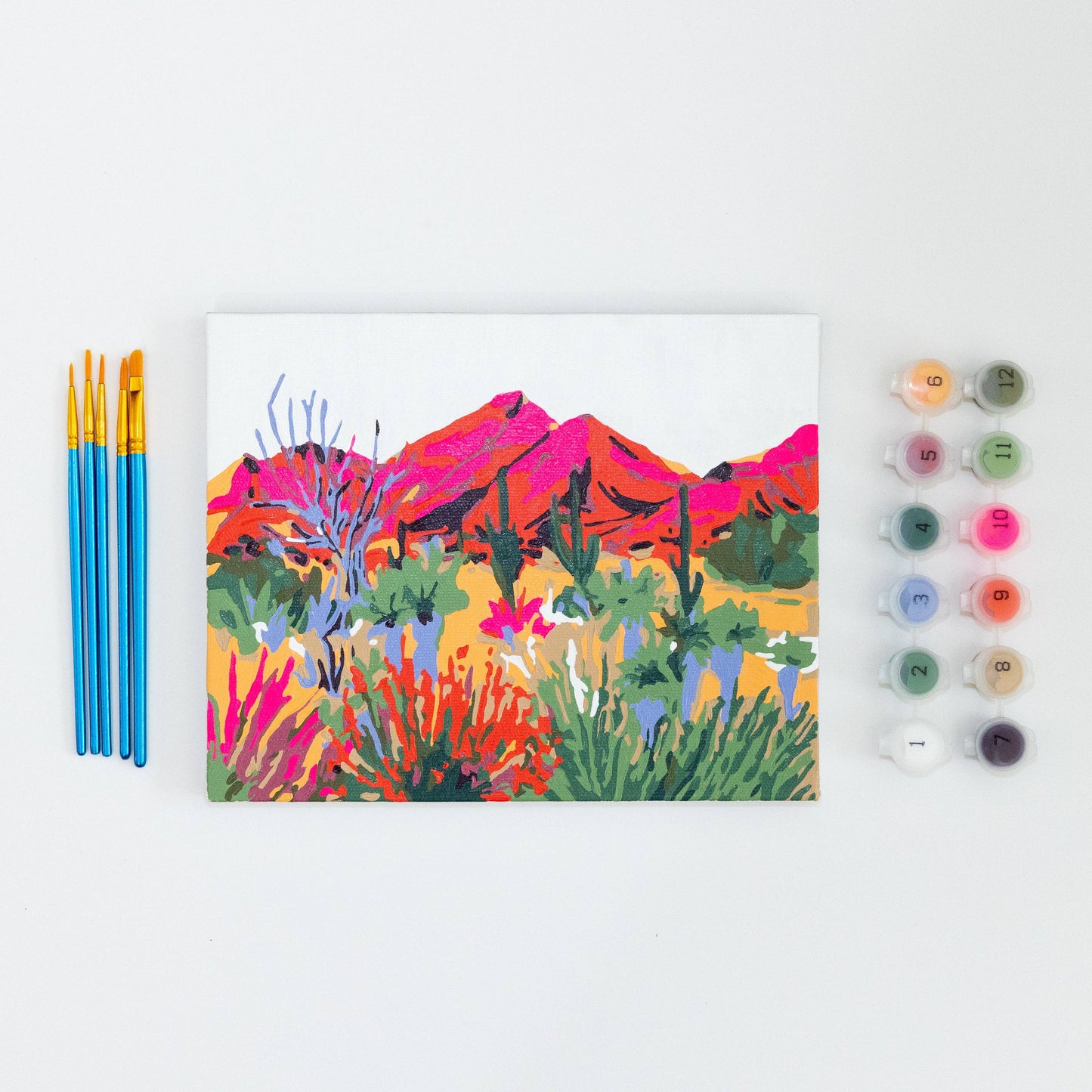 paint anywhere - Bright Desert by Sarah Gesek Paint by Numbers Framed Mini