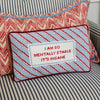 Furbish Studio - Mentally Stable Needlepoint Pillow