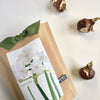 Potting Shed Creations, Ltd. - Garden in a Bag Paperwhites | Fall & Christmas | Best Seller
