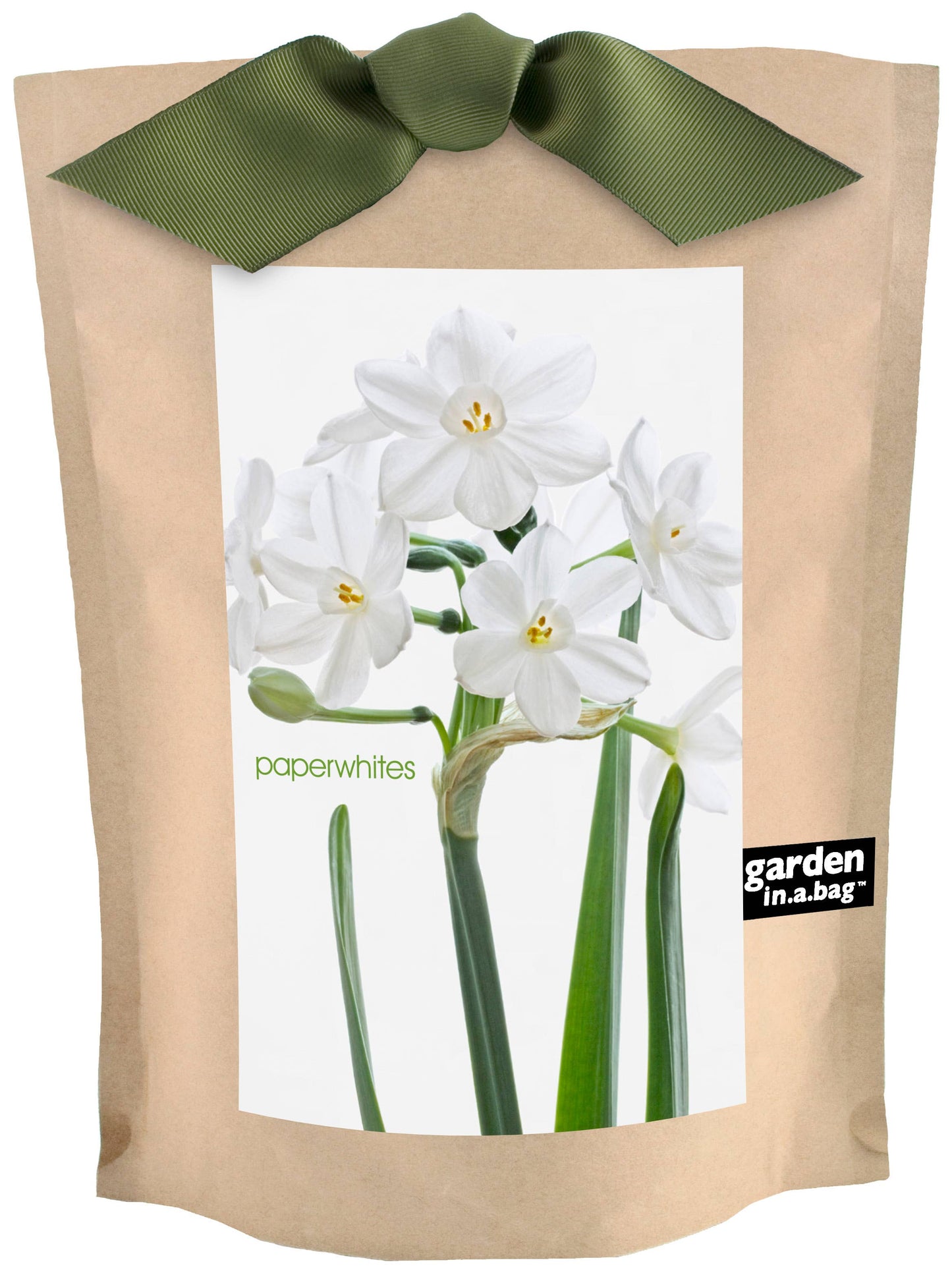 Potting Shed Creations, Ltd. - Garden in a Bag Paperwhites | Fall & Christmas | Best Seller