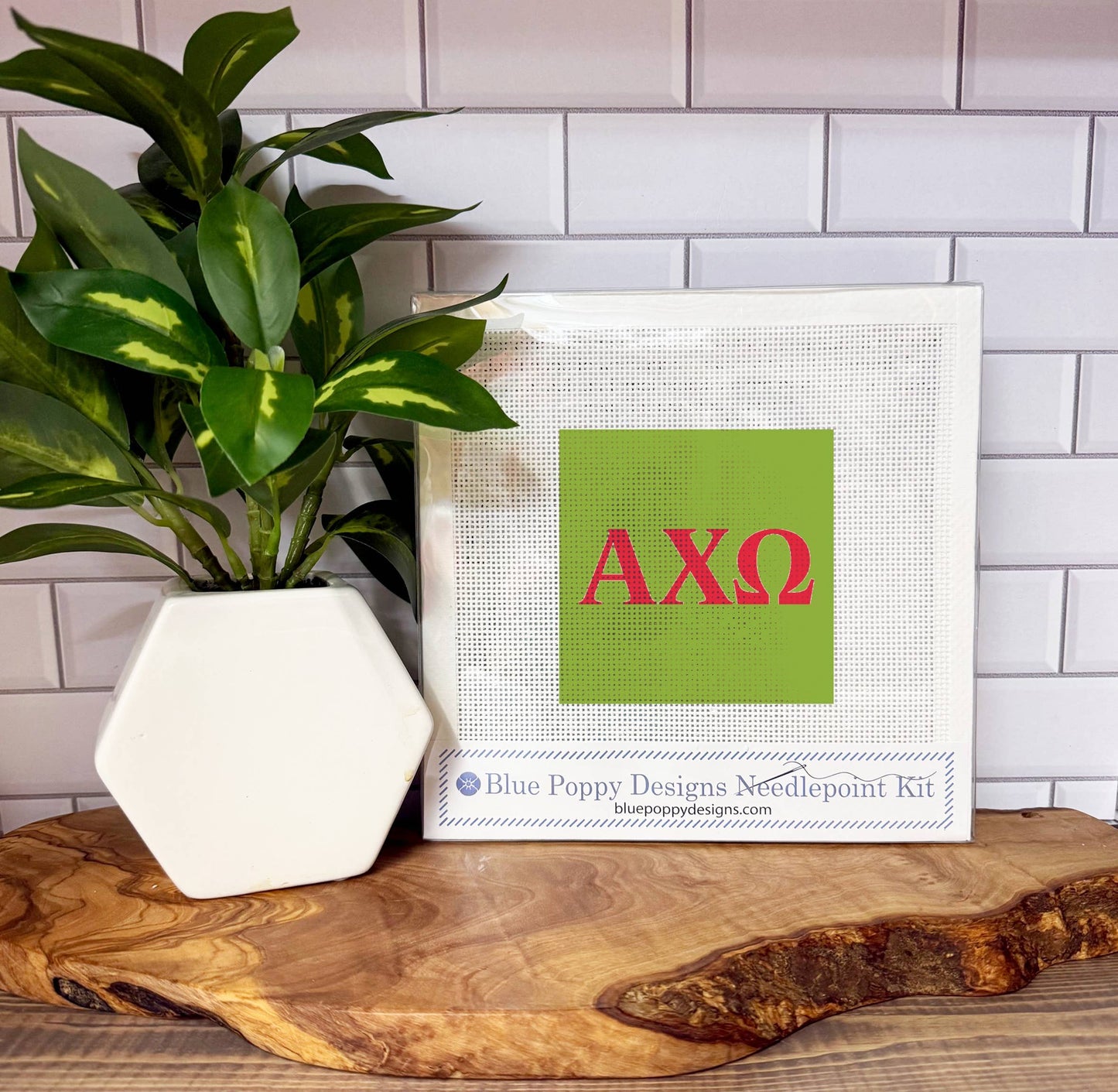 Alpha Chi Omega Needlepoint Kit