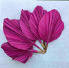 The Blooming Palm - 14" PINK SunDried Painted Palm Leaf Decor, SAME DAY SHP  : Pink