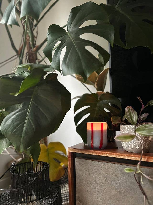 Atina Glass Candle - Tomato & Mint Leaf