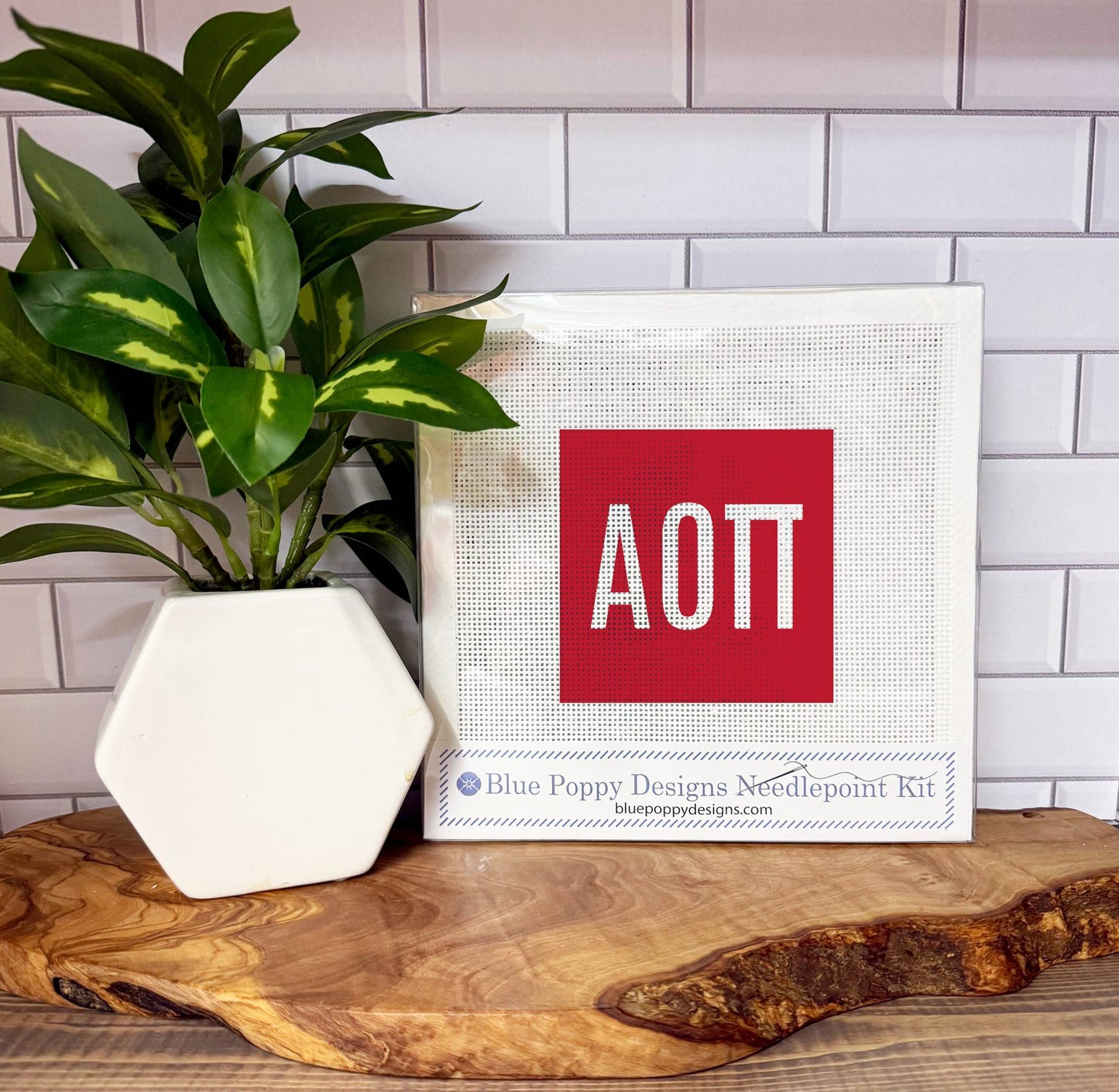 Alpha Omicron Pi Needlepoint Kit
