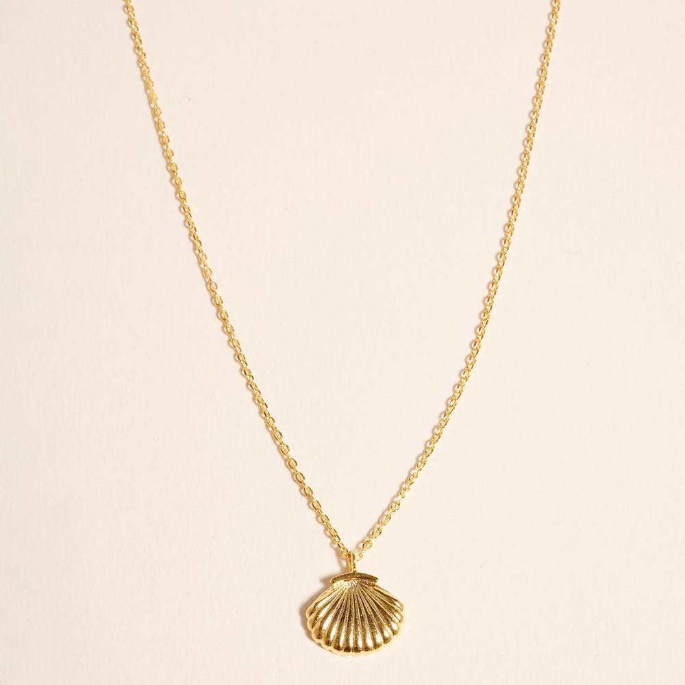 Seashell Pendant Necklace