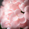 Sullivans Home Decor - FRESHCUT® VIVID PINK SPRING HY