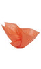 Store Supply Warehouse - 20" x 30" Tissue Paper: Red / Pack of 120 Sheets / 20" x 30"