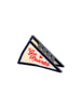 Solar Eclipse - Hand-painted Go Sports Pendant Flag Claw Hair Clip | Eco-Friendly