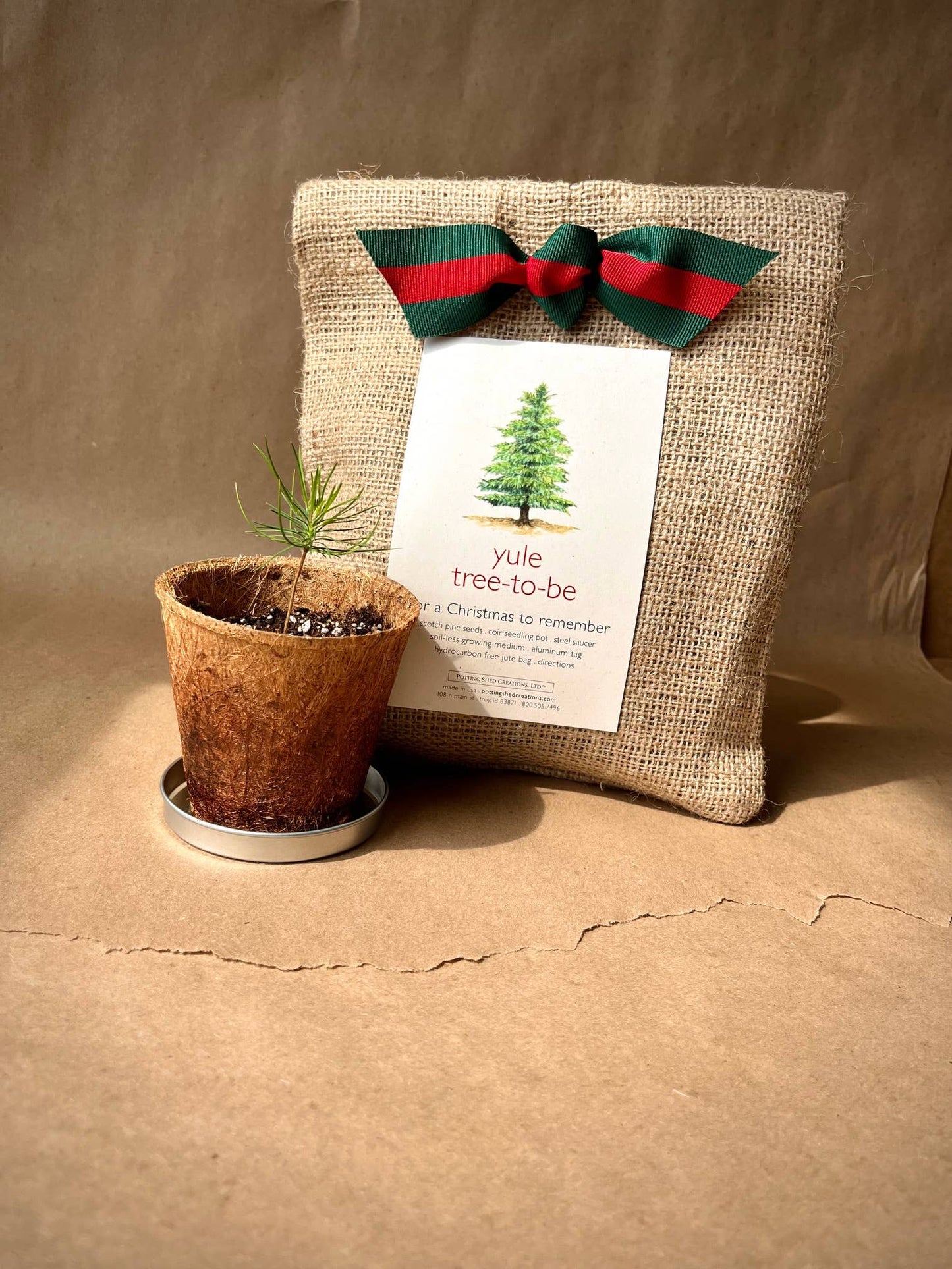 Potting Shed Creations, Ltd. - Christmas Tree to Be | Holiday gift | Fall Favorite