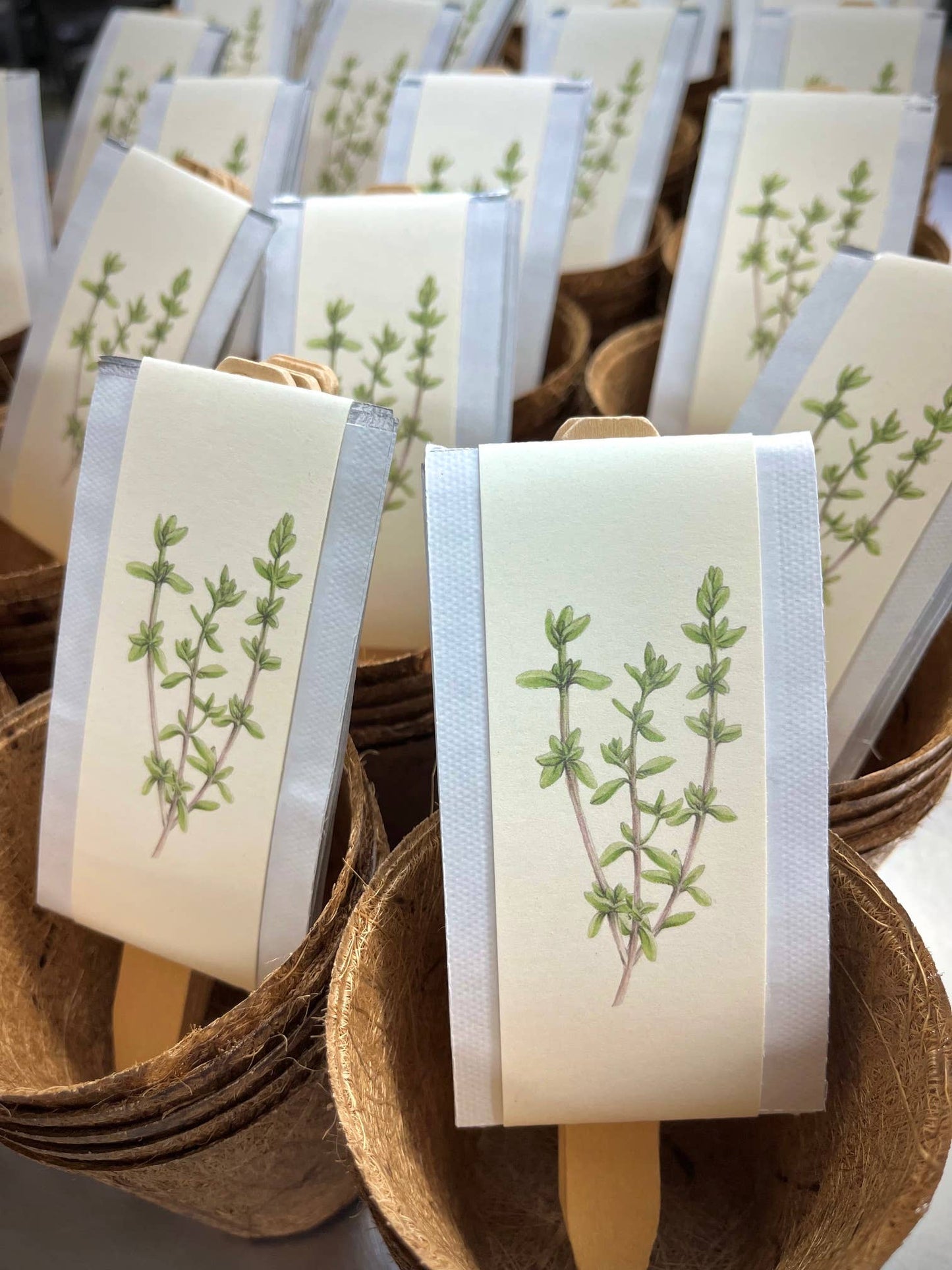 Potting Shed Creations, Ltd. - NEW Culinary Herb Garden Box | Thoughtful Summer Herb Kit