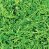 Nashville Wraps - Crinkle Cut Paper Shred 10 lb: White / 1 Pack / 10 lb Box