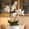 Napa Home & Garden - Phalaenopsis Orchid Drop-In 30"-White