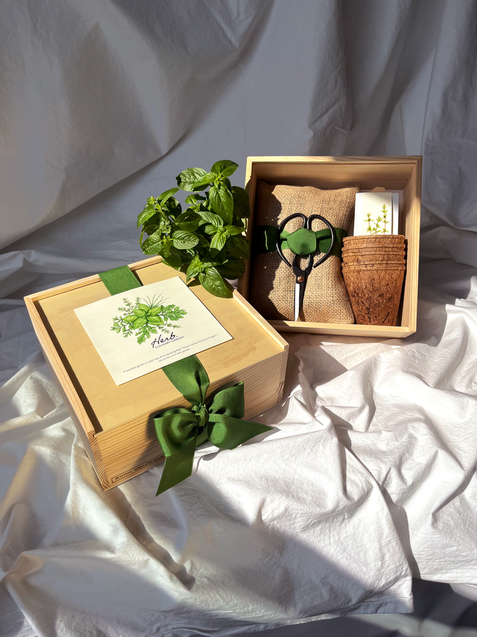 Potting Shed Creations, Ltd. - NEW Culinary Herb Garden Box | Thoughtful Summer Herb Kit