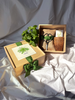 Potting Shed Creations, Ltd. - NEW Culinary Herb Garden Box | Thoughtful Summer Herb Kit