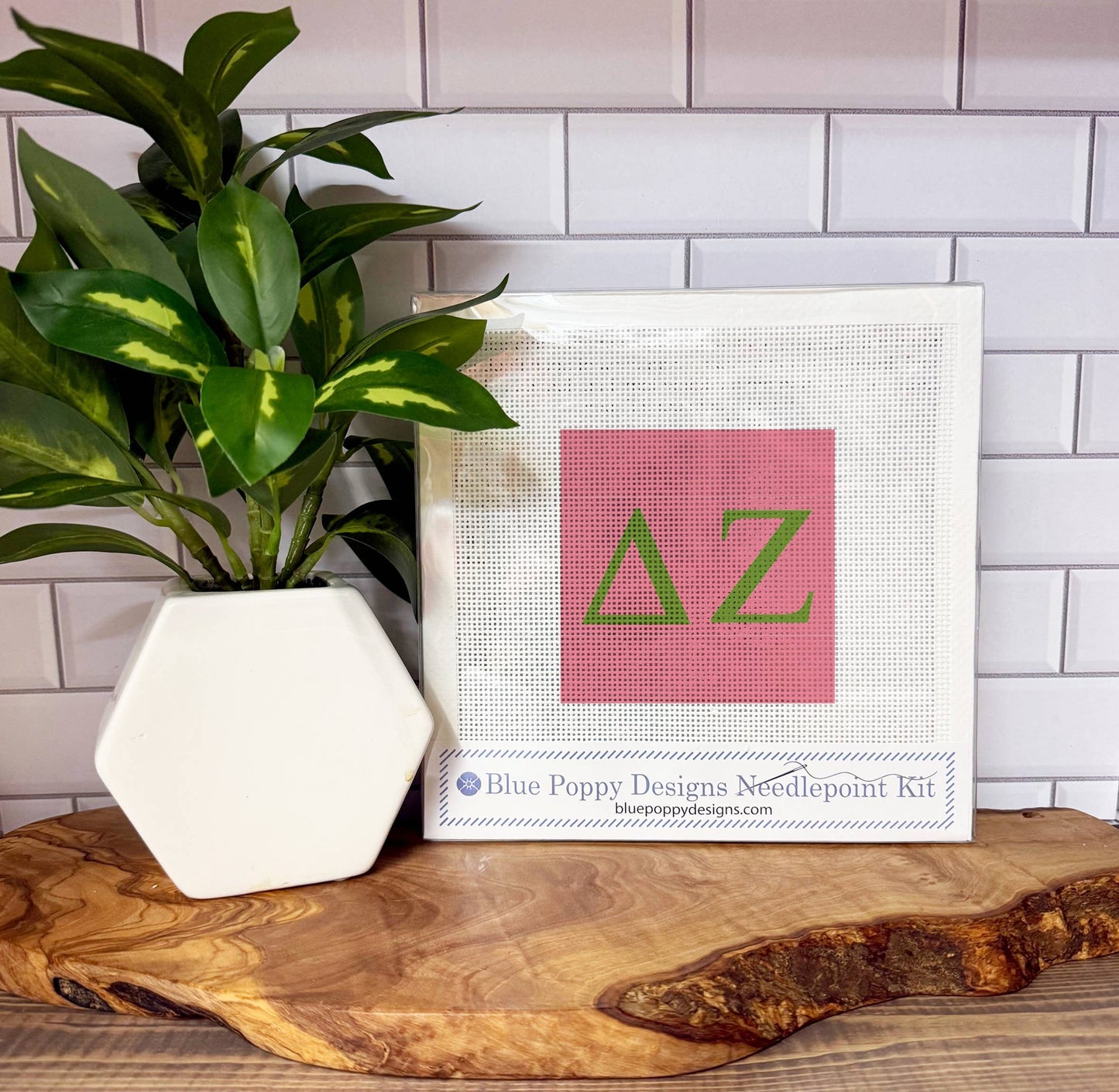 Delta Zeta Needlepoint Kit