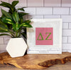 Delta Zeta Needlepoint Kit