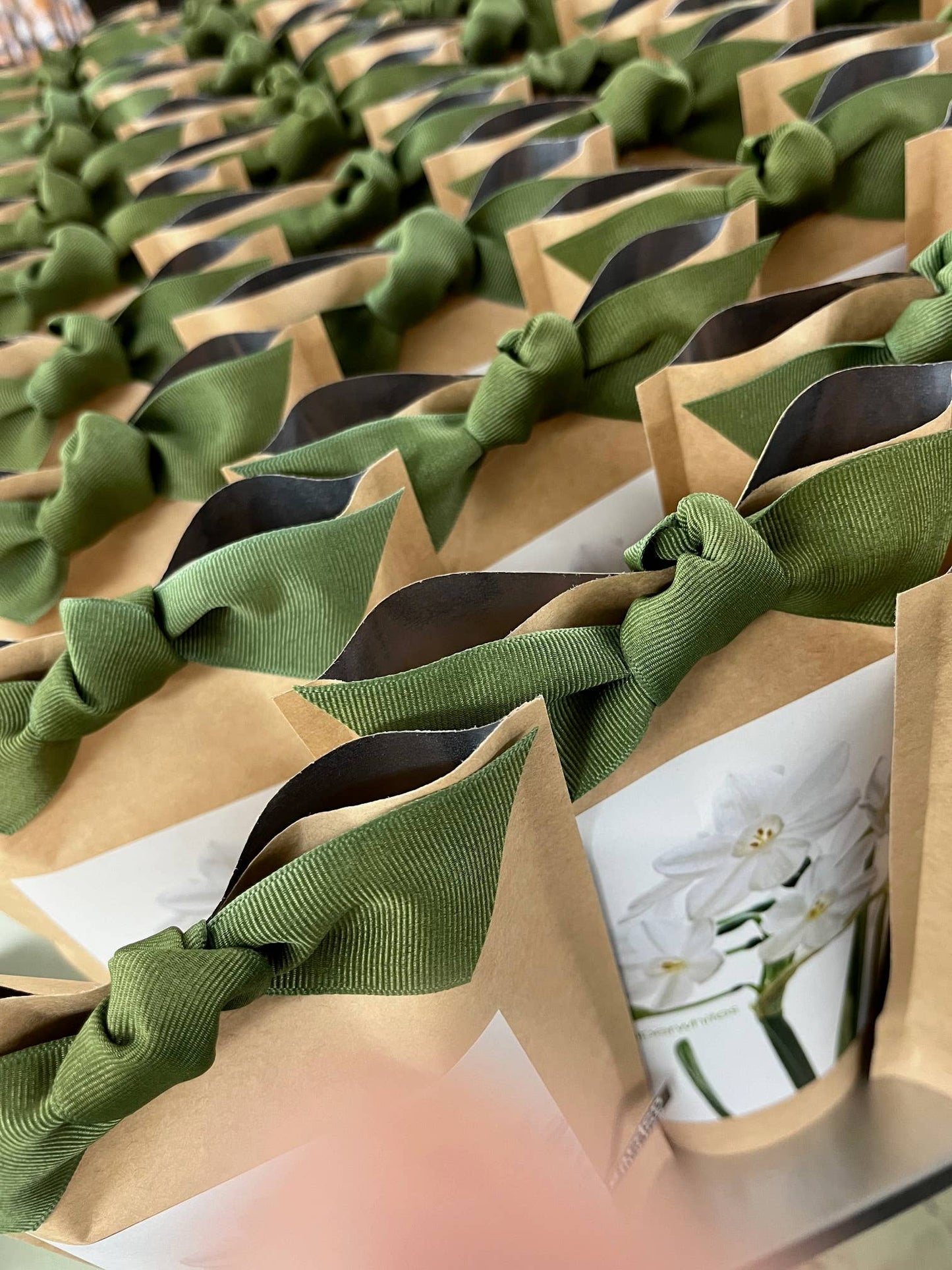 Potting Shed Creations, Ltd. - Garden in a Bag Paperwhites | Fall & Christmas | Best Seller