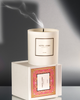 Hotel Lobby Candle - Miami - Luxury Soy Candle - 9.75 oz