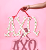 Sorority Acrylic Door Sign
