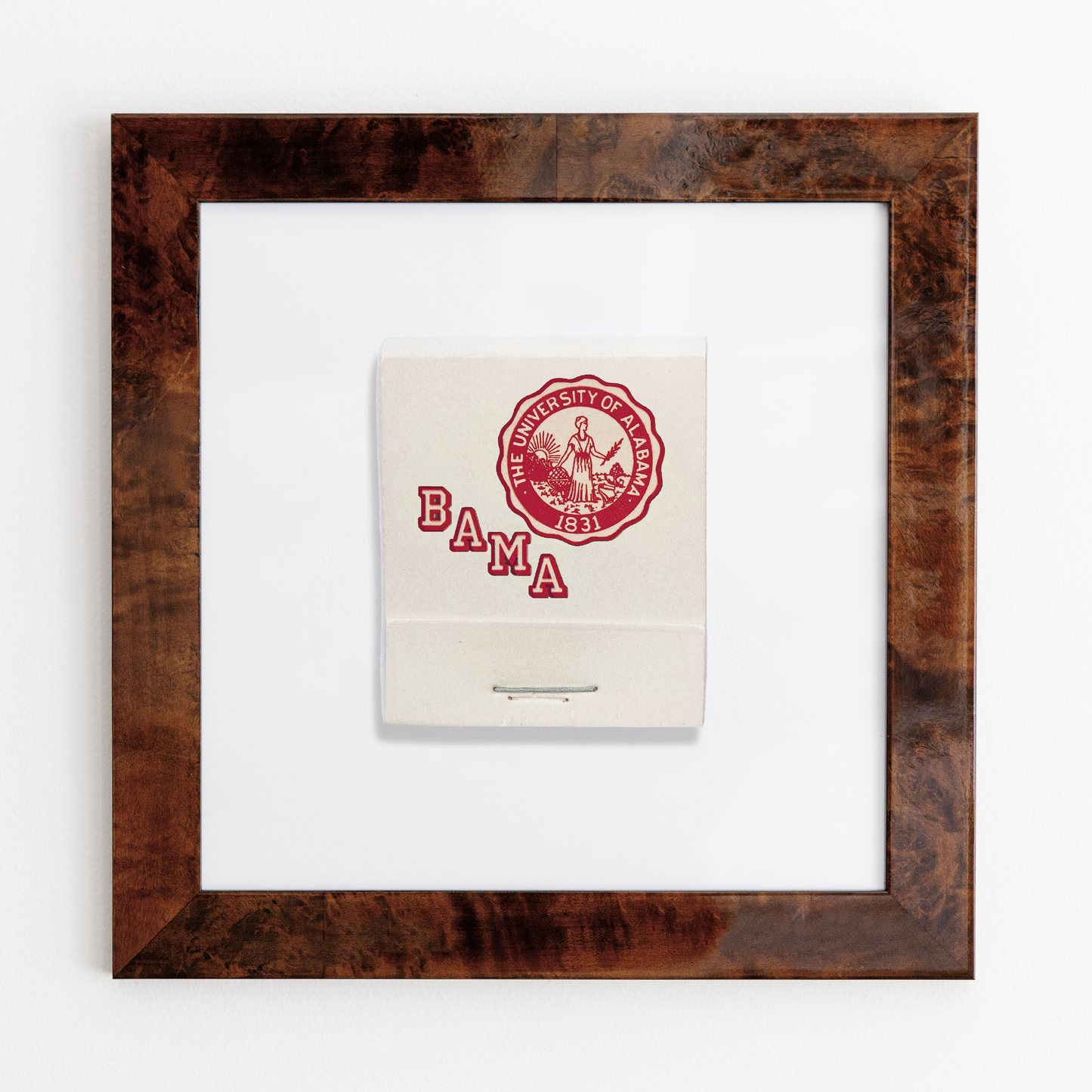 University of Alabama Framed Print