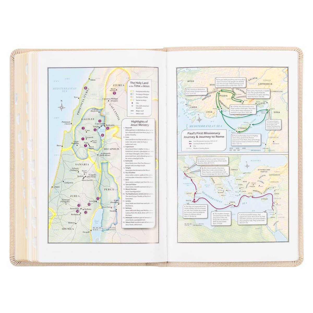 Christian Art Gifts - KJV Bible Deluxe Gift Faux Leather, Pearlescent Taupe