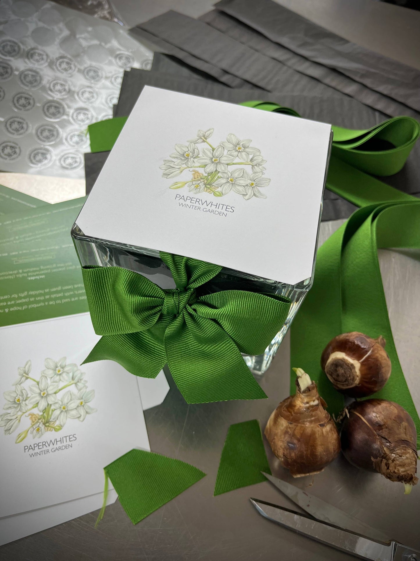 Potting Shed Creations, Ltd. - Garden in a Bag Paperwhites | Fall & Christmas | Best Seller