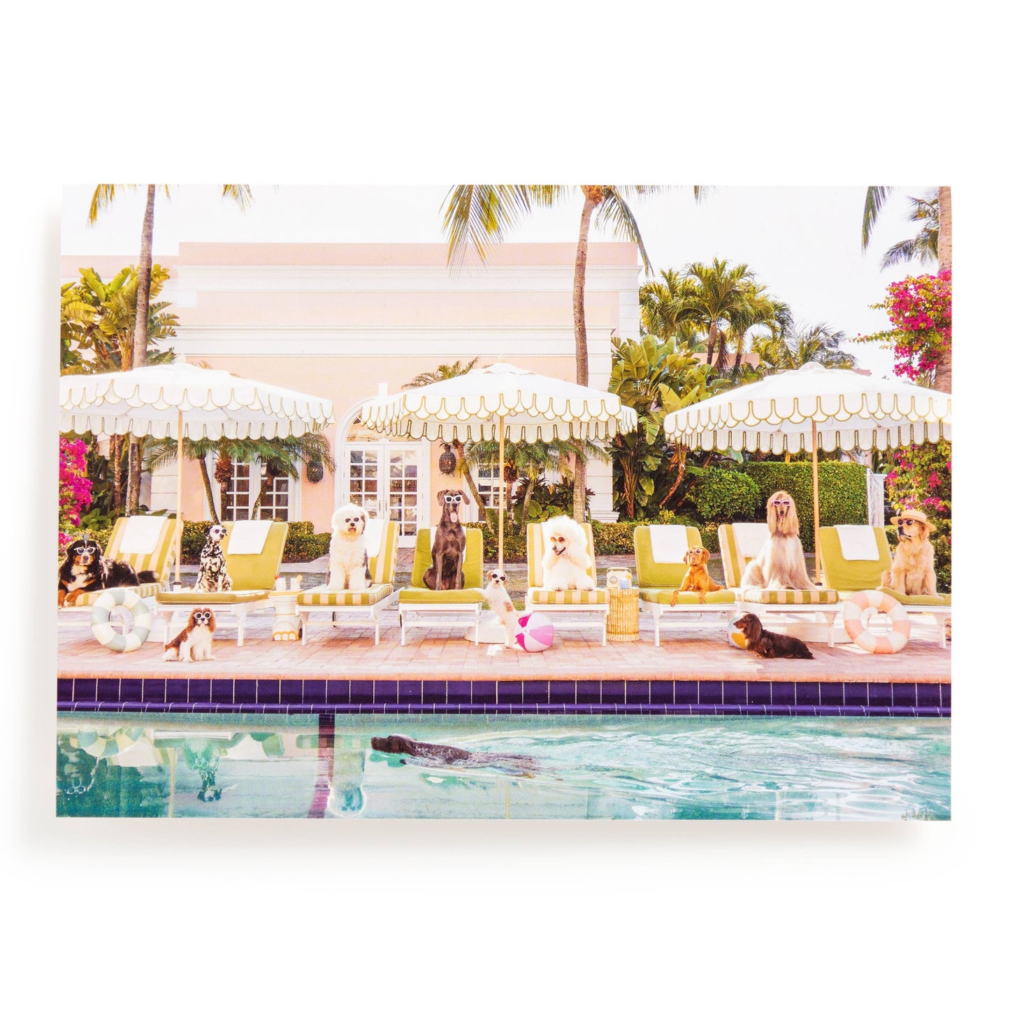 Palm Beach Book Box Puzzle