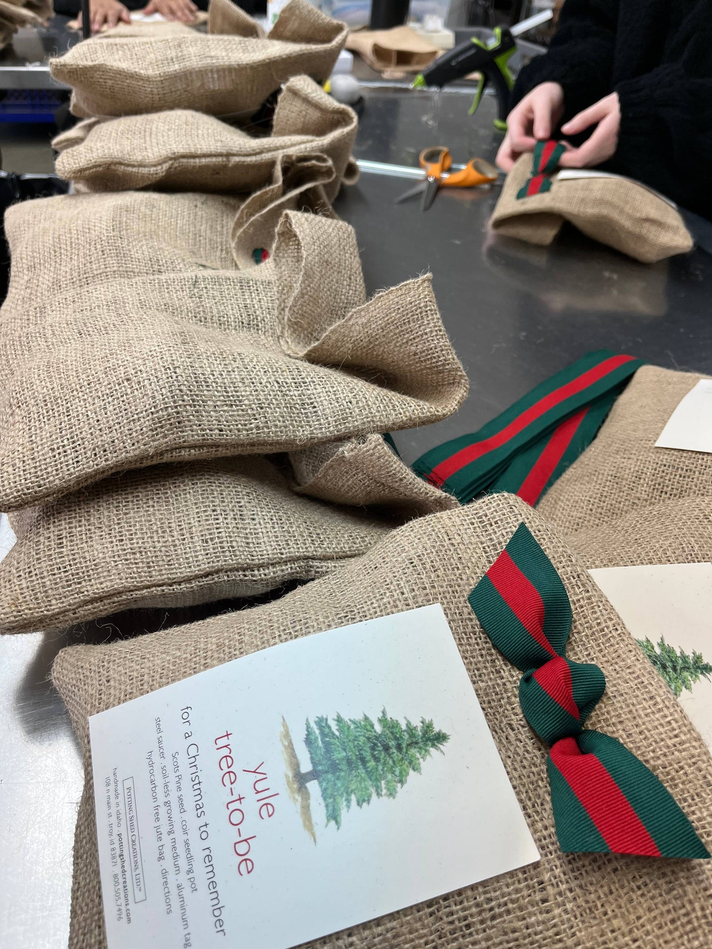 Potting Shed Creations, Ltd. - Christmas Tree to Be | Holiday gift | Fall Favorite