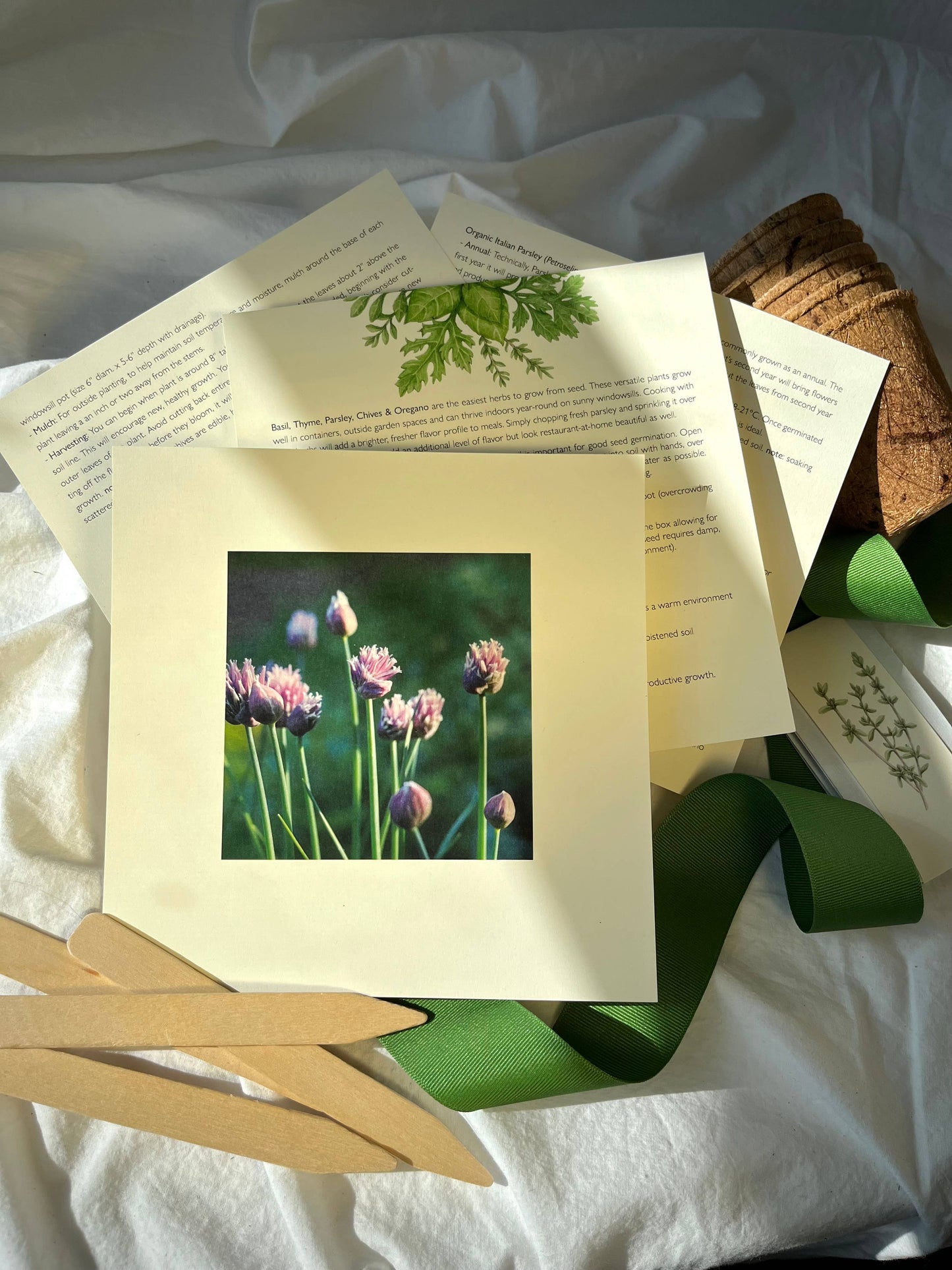 Potting Shed Creations, Ltd. - NEW Culinary Herb Garden Box | Thoughtful Summer Herb Kit