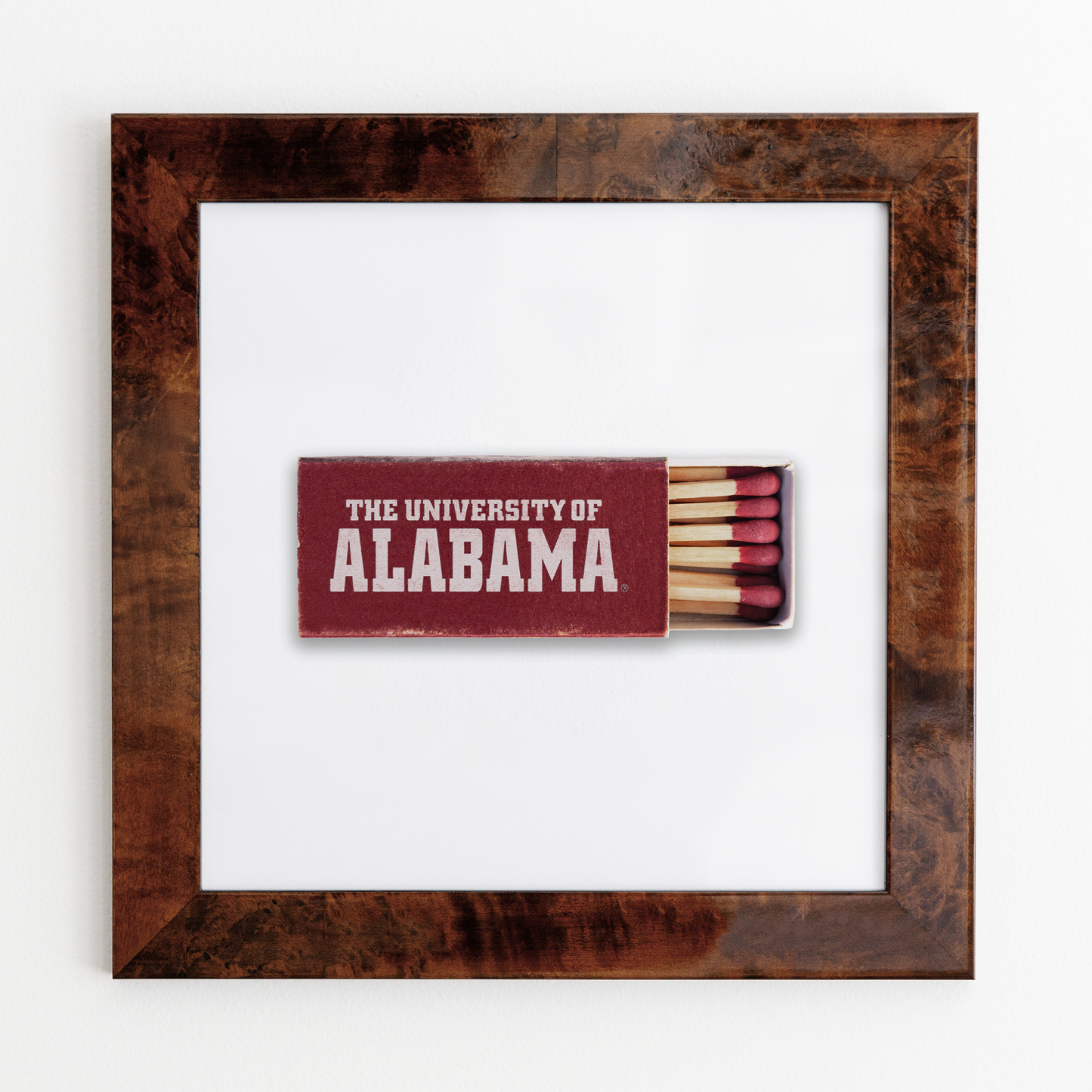 University of Alabama Framed Print
