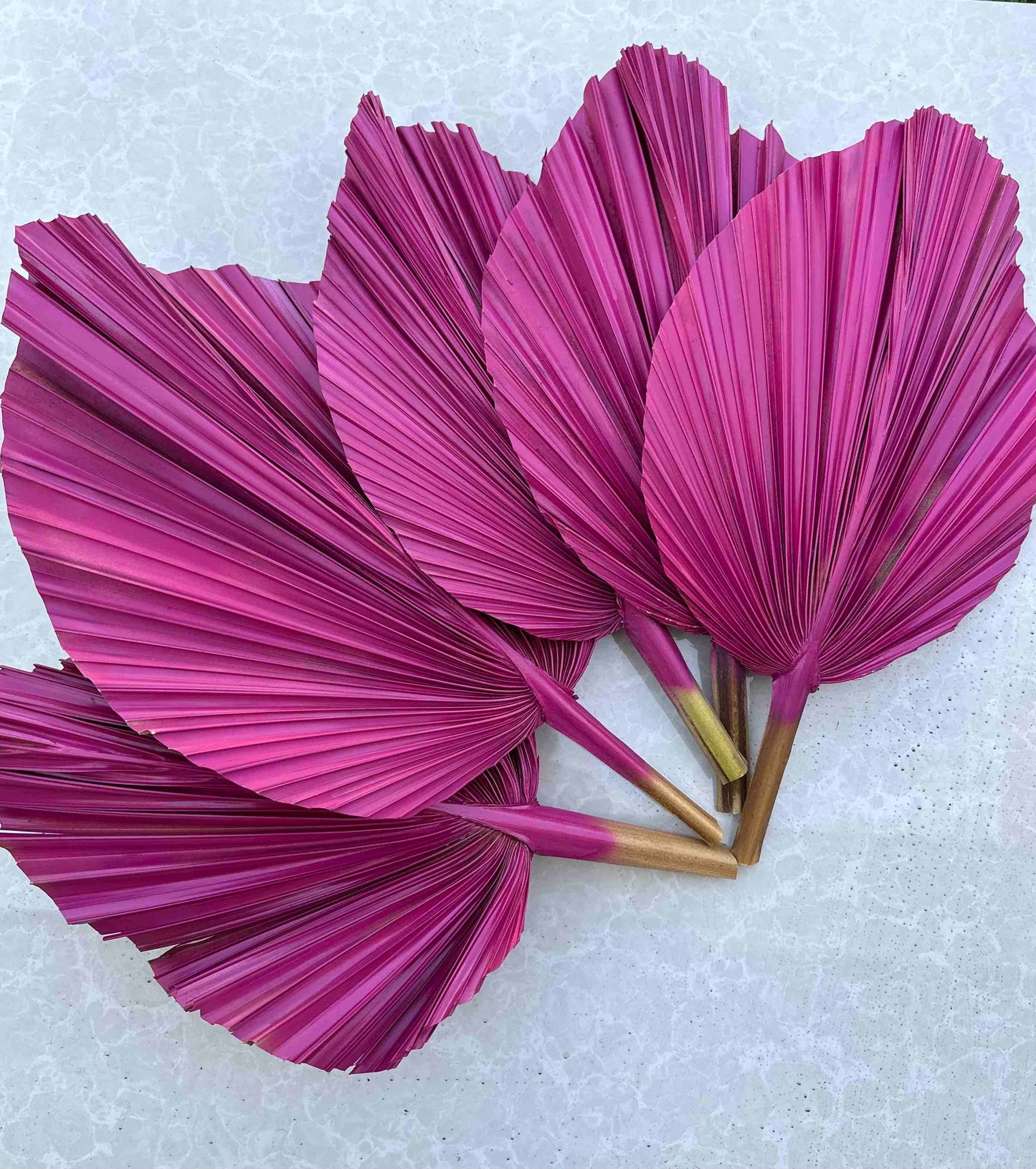 The Blooming Palm - 14" PINK SunDried Painted Palm Leaf Decor, SAME DAY SHP  : Pink