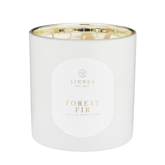 Forest Fir 3 Wick Candle